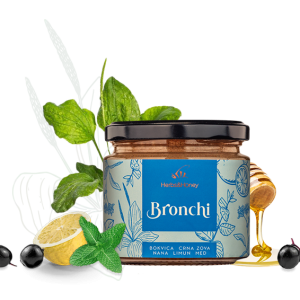 Bronchi